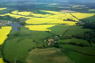 Žluťáskov - náhled